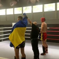 оригинальный звук