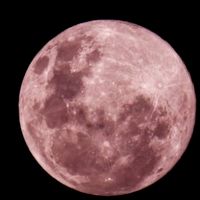 ..._.pink._..moon._