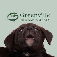gvlhumane