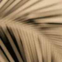 original sound - rutterflyy