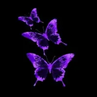 original sound - yuliyaa.17