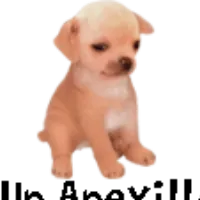 original sound - un_anexillo