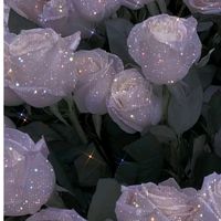 user42806960131737