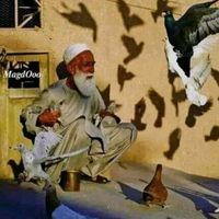 الصوت الأصلي
