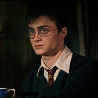 harry_zxs