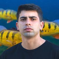 brasiljumbos