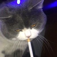 suara asli - Esse ft AP
