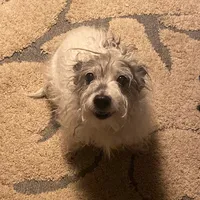 original sound - oliviaxgracee