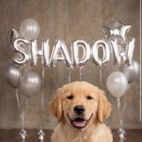 sweetestshadow