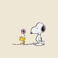 mindenes._oldi41