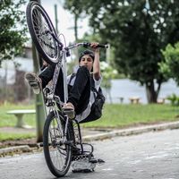 mts_037