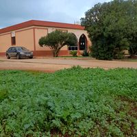 الصوت الأصلي