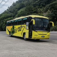 franklinsuazo532