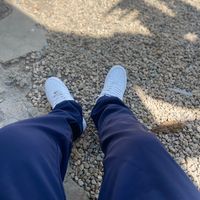 melx_22