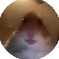 chxrlexi