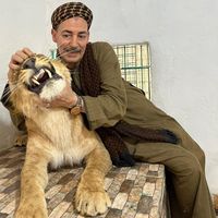 africano_tolba