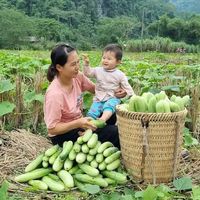 nhạc nền - Giải Trí Tổng Hợp
