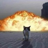 rubber_duckie_is_the_1