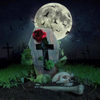 lifeafterdeathdesigns