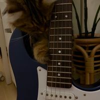 original sound