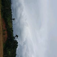 alexitoloaizatiktok.comu