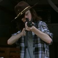 fande_thewalkingdead8