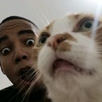 andresub_