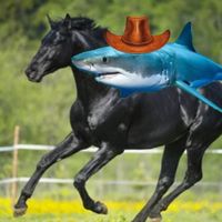 sharkhorse9