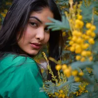 original sound - kmr500