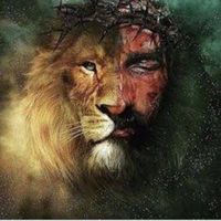 oliveira.oliveira9030