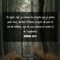 badyfille0