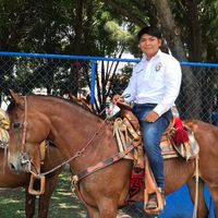 david_agro1