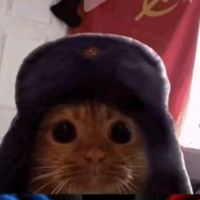 perro_sirai_riu
