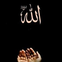 rahmatullahahmadzai16