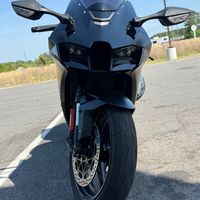 domesticzx10r