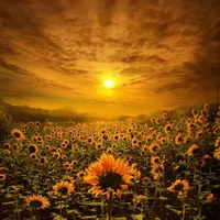 original sound - mamabear198711