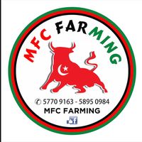 mfcfarming