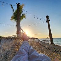 caribbean_dreams