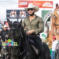 boanergeblandon