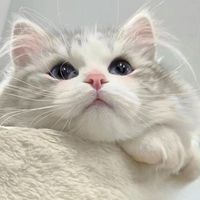 igi8bggwx8