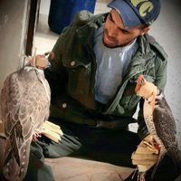 ahmedbaqousha