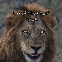 meryam_jado2