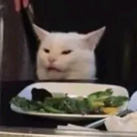 original sound - scene.music_