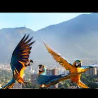 Tú cumpleaños Diomedes Díaz