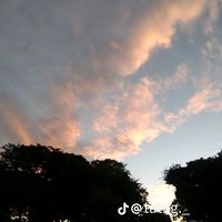 ale1224562