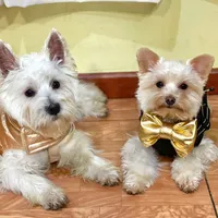 original sound - zoe.lawestie