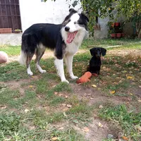 original sound - auroramantia