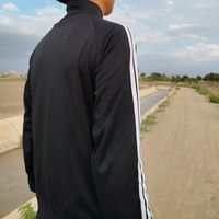 bandido_279