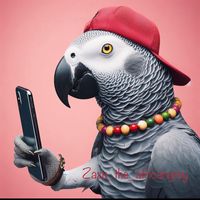 zazutheafricangrey