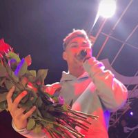 fan_ynysebi